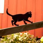 Silhouette balancierende Katze - dekorativ