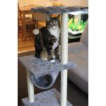 Spielturm für Katzen mit Kratzbaum