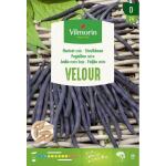 Haricot nain Velour - 25 g