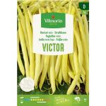 Haricot nain Victor - 20 g