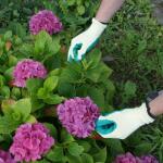 Gants de jardin en taille 9