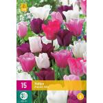 Tulipa Pastel mix (15 stück)