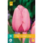 Tulipa Pink Impression (10 pièces)