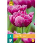 Tulipa Showcase - doppelte frühe Tulpe