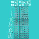 Hundefutter ADULT mit frischem Freilandhuhn - Edgard&Cooper 7 kg