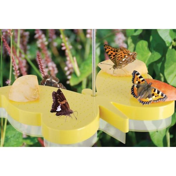  - Futterschale für Schmetterlinge
