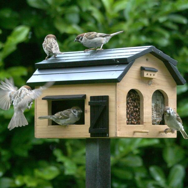 Baignoire pour oiseaux en céramique - Webshop - Matelma