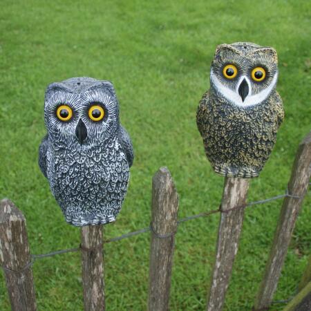 Vogelschreck Eule Kunststoff 23 Cm Vogel Probleme Mit Tieren