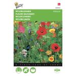 Wildblumen Mischung - Wildflower mixture