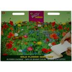 Tapis de semis mélange de fleurs sauvages