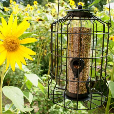 Mélange de graines pour oiseaux du jardin - 5 kg - Webshop - Matelma