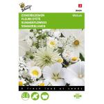 Sommerblumen Mischung, Weisse Toene - Summerflowers, mixture of white shades